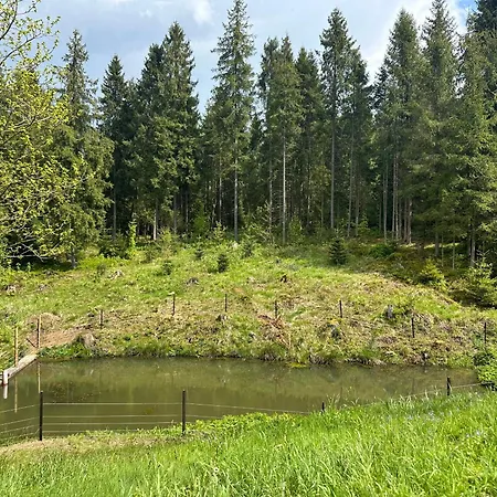 лісовий затишок Holiday home *